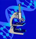 Centro DIC Logo