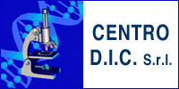 Centro DIC Logo